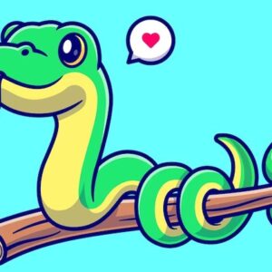 300+ Python Challenges Python Exercises For Beginners 2023