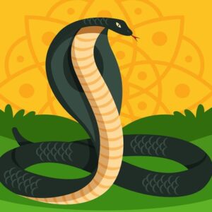 500+ Python Exercises Practical Python Challenges 2023