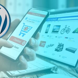Advanced Wordpress Course for Professionals