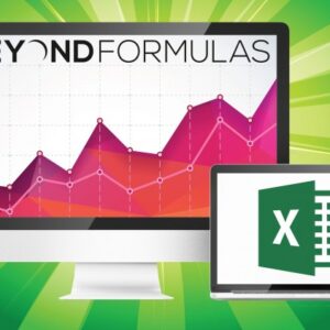 BeyondFormulas Complete MS Excel Techniques & Modeling
