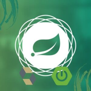 Mastering Spring Data JPA From Basics to Advanced