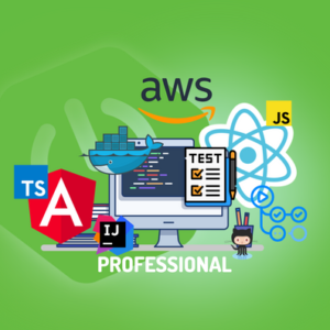PROFESSIONAL Full Stack Developer